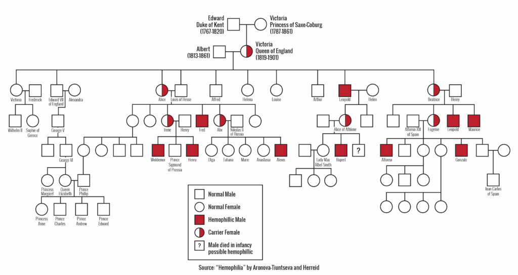 Queen Victoria Family Tree