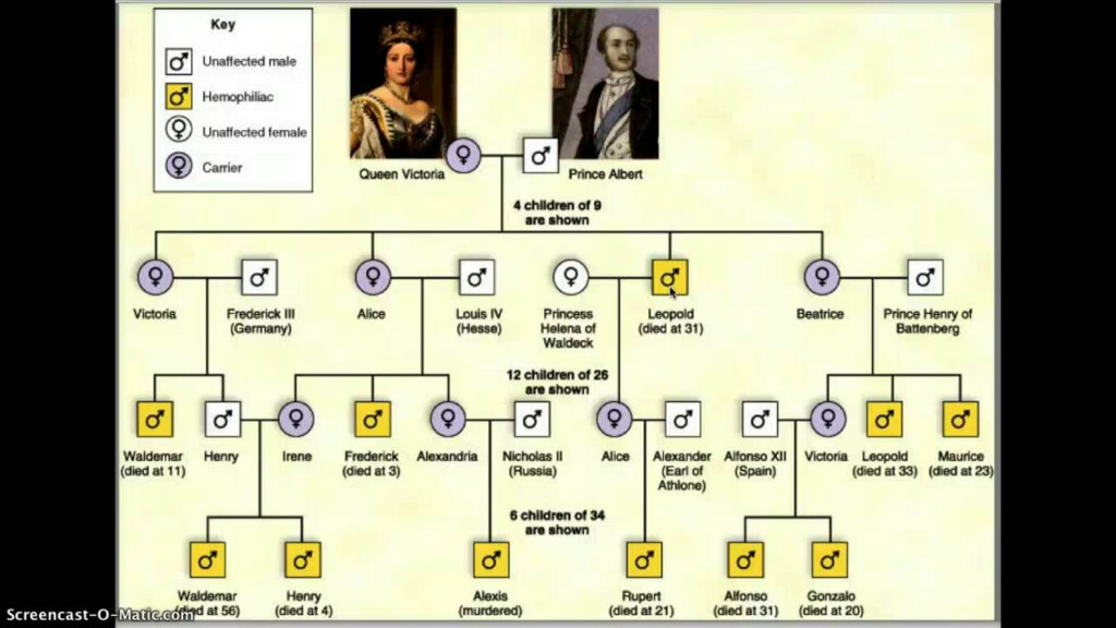 Queen Victoria Family Tree Of Hemophilia Badgugl