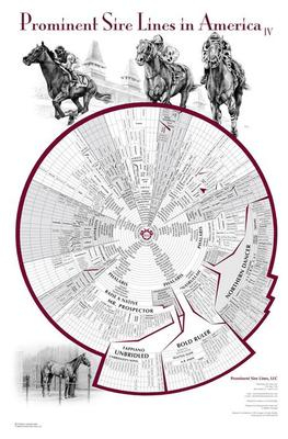  quot Prominent Sire Lines In America quot 