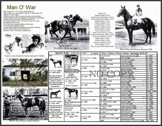 Race Horse MAN O 39 WAR Picture Pedigree Chart Thoroughbred Etsy
