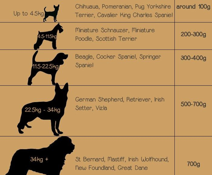 Raw Feeding Guide Dogs Dog Health Irish Setter