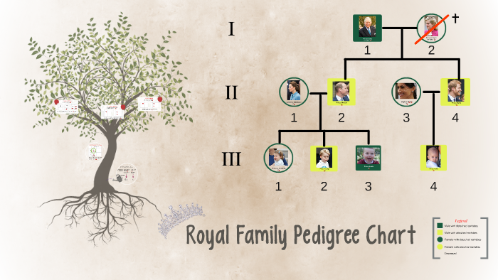 Royal Family Pedigree Chart By Ella Wright On Prezi
