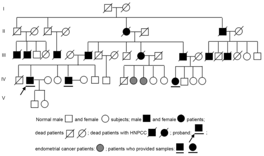 Screening For Susceptibility Genes In Hereditary Non polyposis 