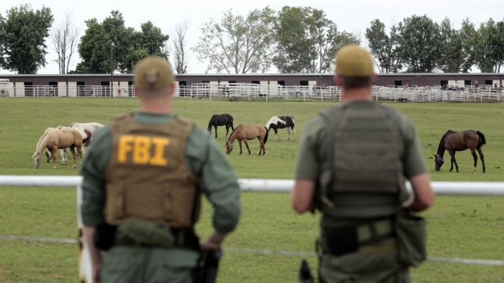 Seized Mexico Cartel Horses Fetch Record Sum At Auction BBC News