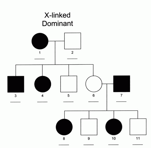 Sex X linked Dominant Inheritance Michigan Genetics Resource Center