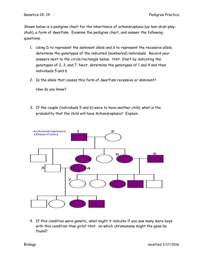 Shown Below Is A Pedigree Chart For The Inheritance Of Achondroplasia