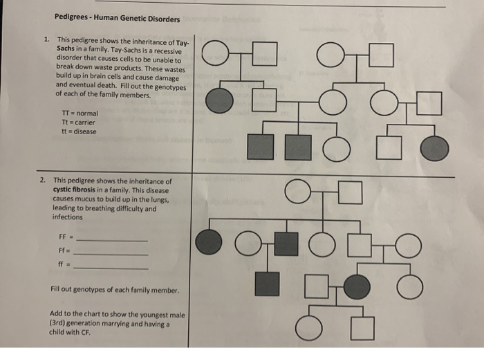 Sickle Cell Anemia Pedigree With Genotypes