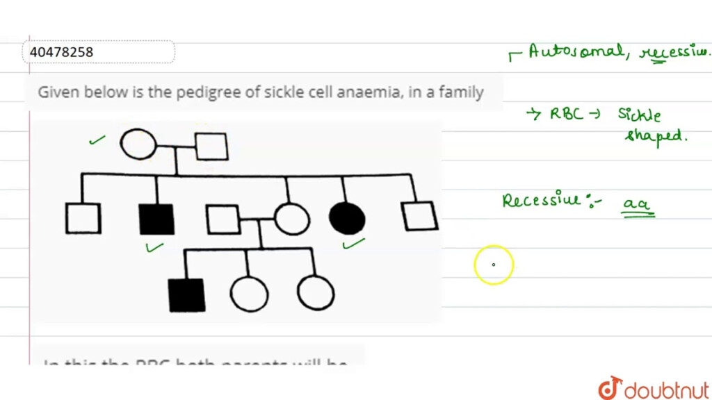 Sickle Cell Anemia Theory Of Knowledge