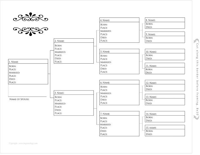 Simple Printable Pedigree Chart