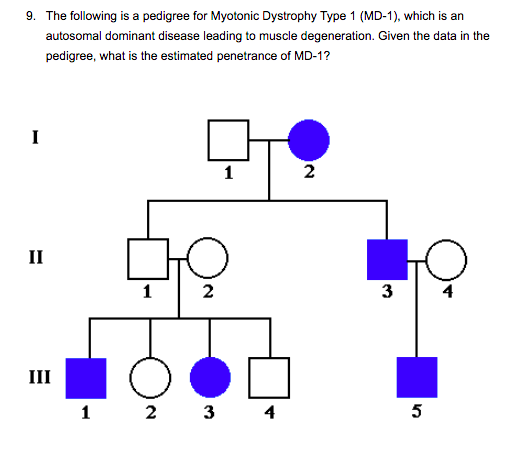 Solved 9 The Following Is A Pedigree For Myotonic Dystrophy Chegg