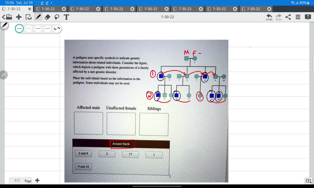 SOLVED A Pedigree Chart Uses Specific Symbols T0 Indicate Genetic 