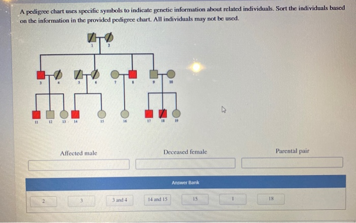 Solved A Pedigree Chart Uses Specific Symbols To Indicate Chegg