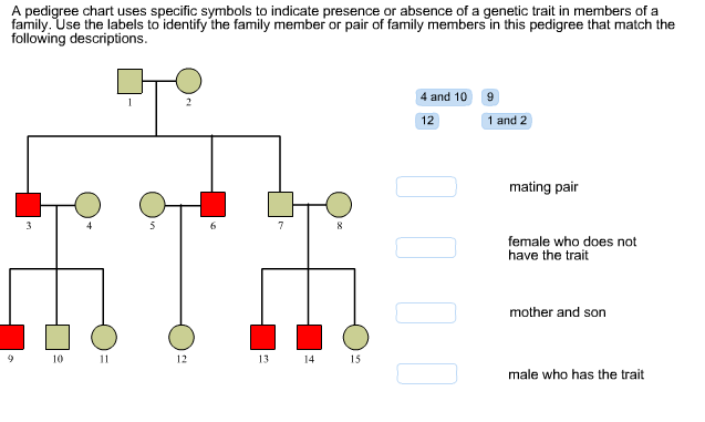 Solved A Pedigree Chart Uses Specific Symbols To Indicate Chegg