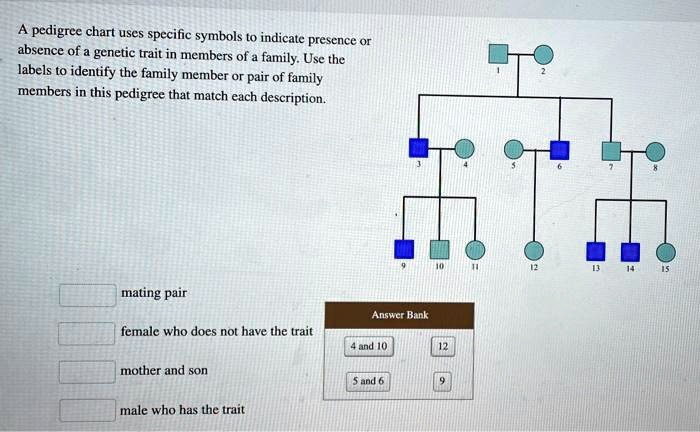 SOLVED A Pedigree Chart Uses Specific Symbols To Indicate The Presence 