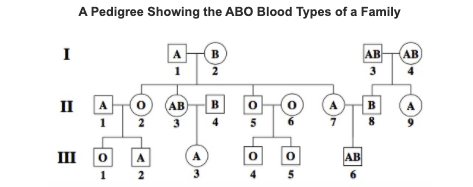 Solved A Pedigree Showing The ABO Blood Types Of A Family Chegg