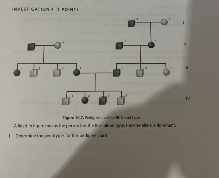 Solved Determine The Genotypes For This Pedigree Chart Chegg