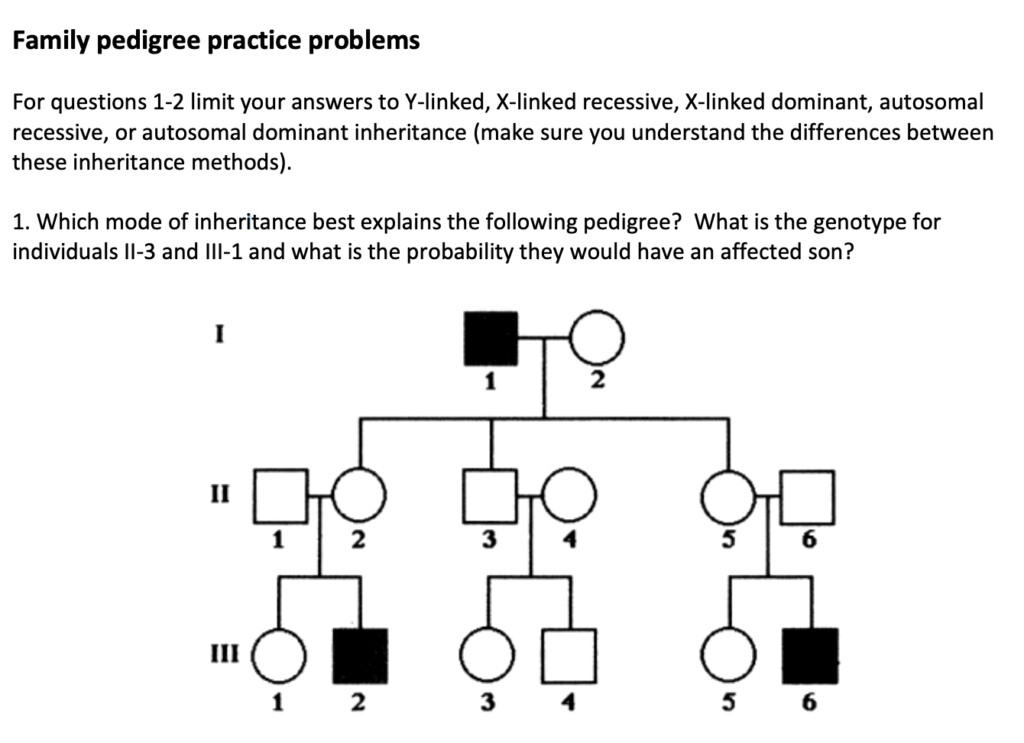 Solved Family Pedigree Practice Problems For Questions 1 2 Chegg 