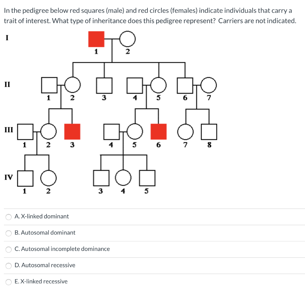 Solved In The Pedigree Below Red Squares male And Red Chegg