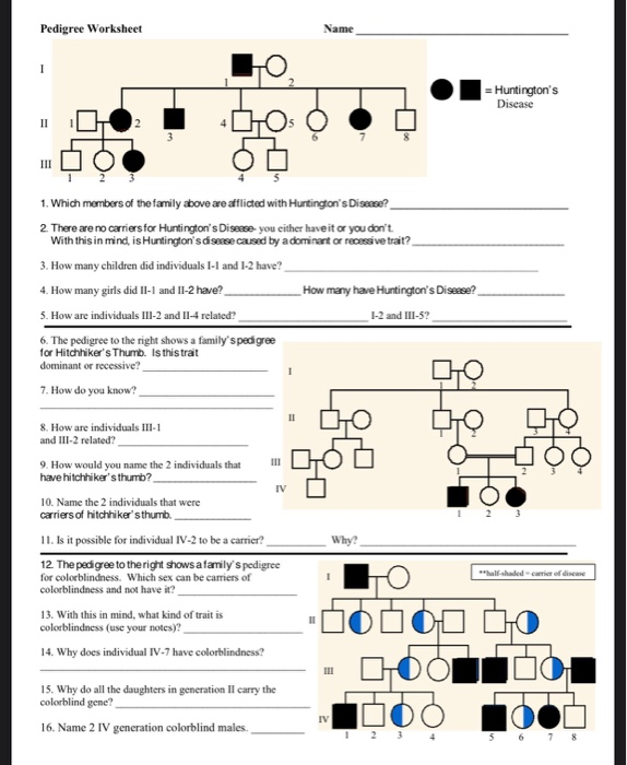 Solved Name Genetics Pedigree Worksheet A Pedigree Is A Chegg