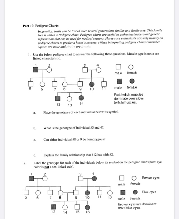 Solved Part 10 Pedigree Charts In Genetics Traits Can Be Chegg