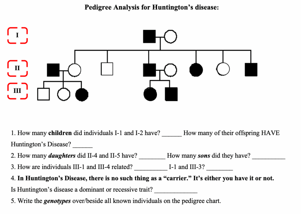 Solved Pedigree Analysis For Huntington 39 s Disease E EE How Chegg