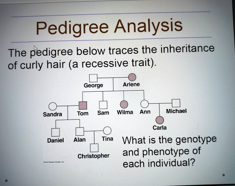 SOLVED Pedigree Analysis The Pedigree Below Traces The Inheritance Of 