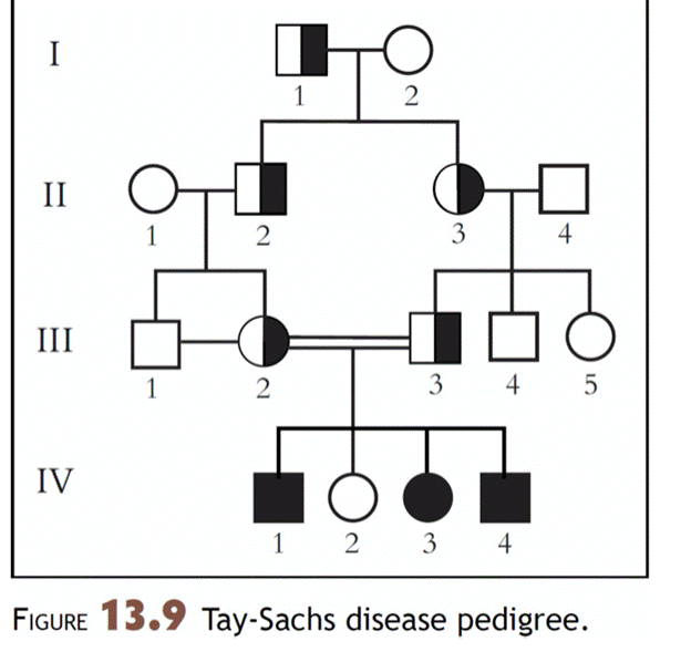  Solved The Following Pedigree Illustrates The Inheritance Of Tay 