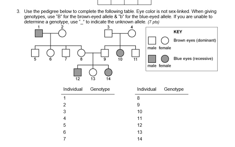 SOLVED Use The Pedigree Below To Complete The Following Table Eye 