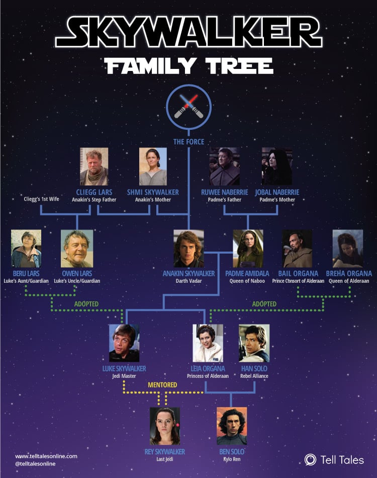 Star Wars Skywalker Family Tree Explained Infographic 