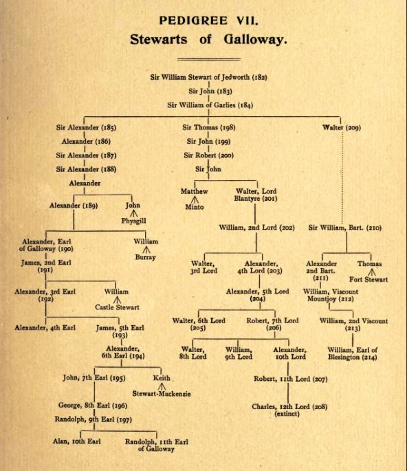 Stewarts Of Galloway Pedigree