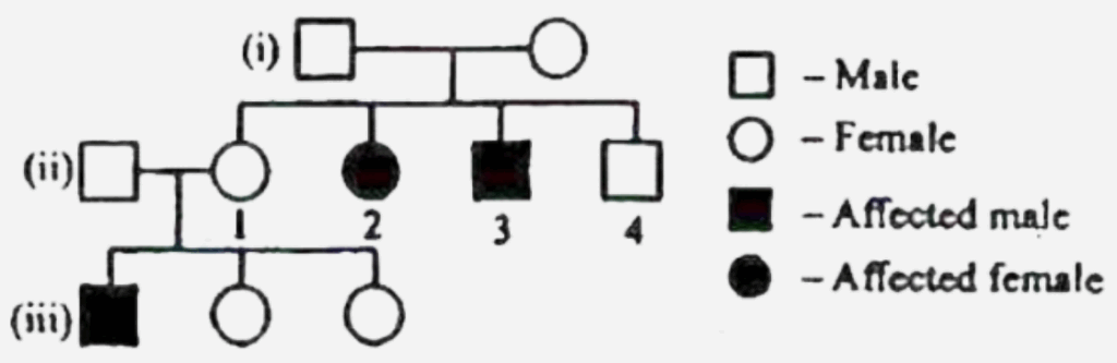 Study The Given Pedigree Chart For Sickle cell Anaemia And Work Out Th