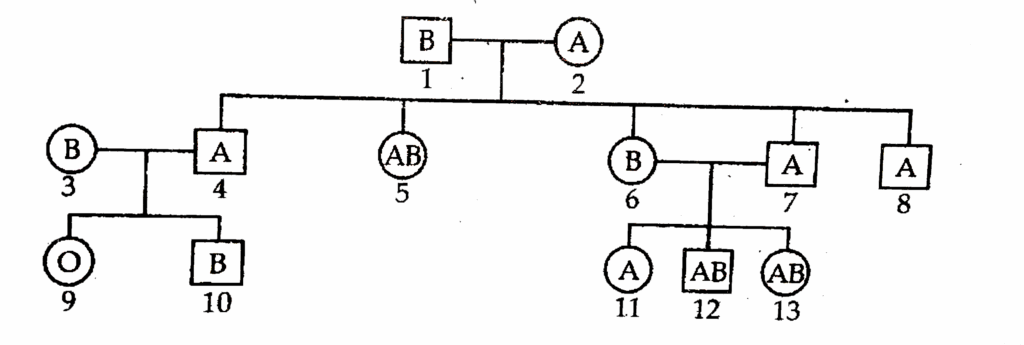 Study The Given Pedigree Chart Showing The Pattern Of Blood Group Inhe 