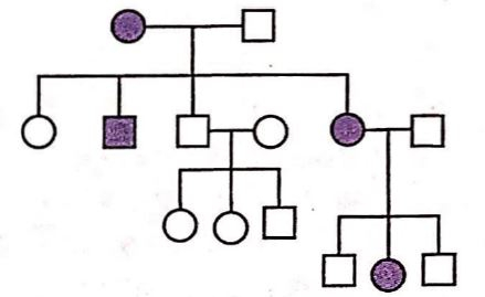 Study The Pedigree Chart Of A Family Showing The Inheritance Of 