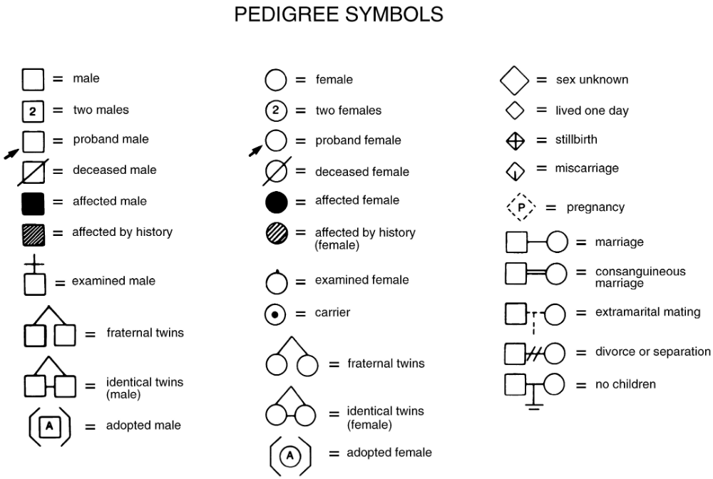 Symbols Commonly Used For Pedigree Analysis Family Relationship Chart 