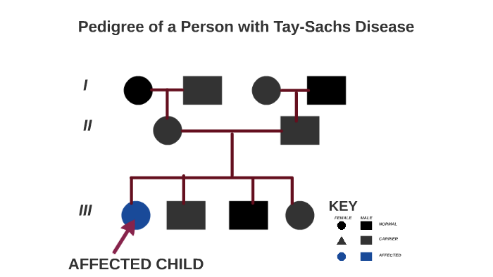 Tay Sachs Disease Chart A Visual Reference Of Charts Chart Master