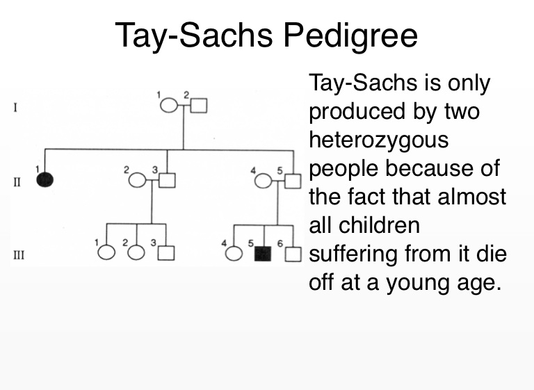Tay Sachs Disease Screen 4 On FlowVella Presentation Software For 