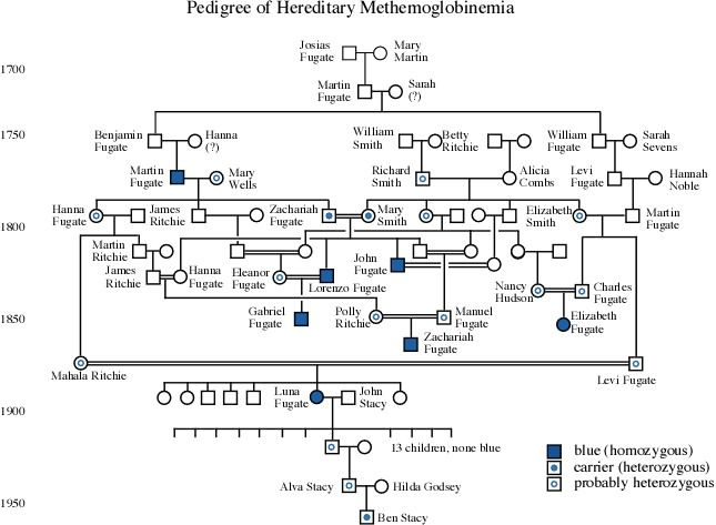 The Blue People Of Troublesome Creek Worksheet