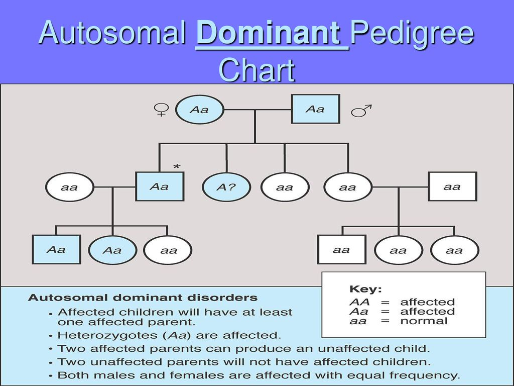 The Family Tree Of Genetics Ppt Download