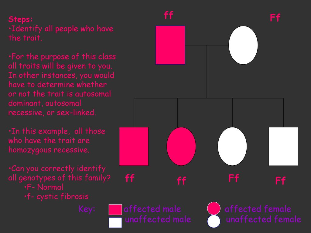 The Family Tree Of Genetics Ppt Download