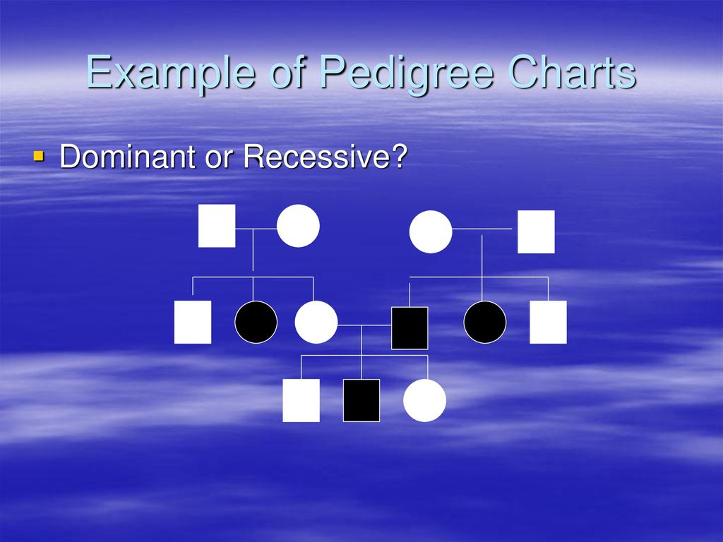 The Family Tree Of Genetics Ppt Download