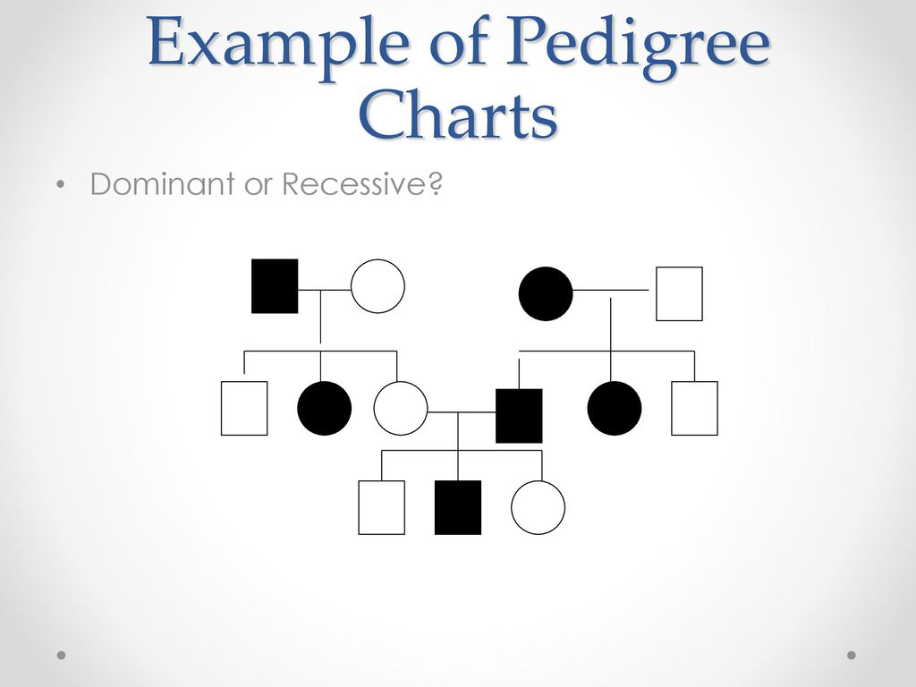 The Family Tree Of Genetics Ppt Download