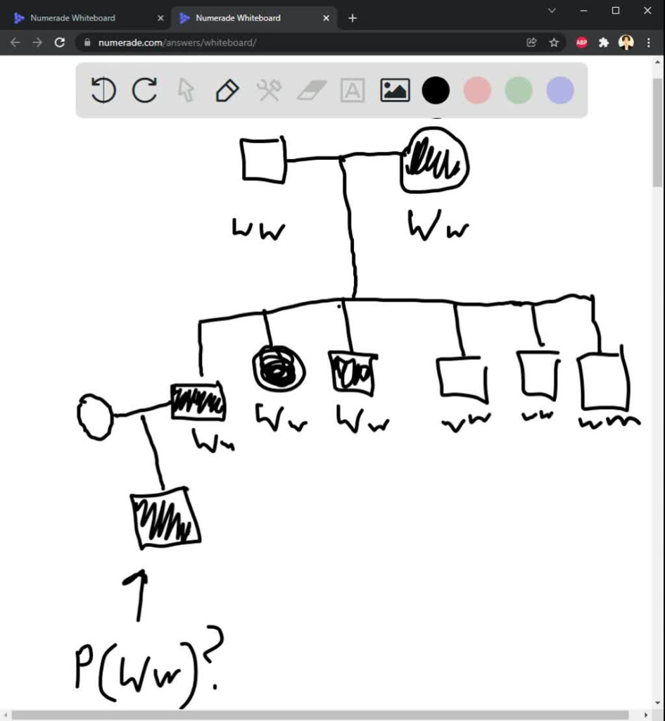 The Following Question Refers To The Pedigree Chart In The Figure For 
