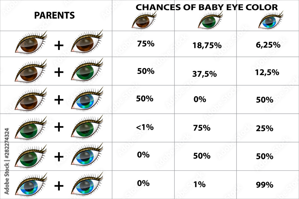 The Genetics Of Eye Color Eye Color Chart Paternity Test Stock Vector 