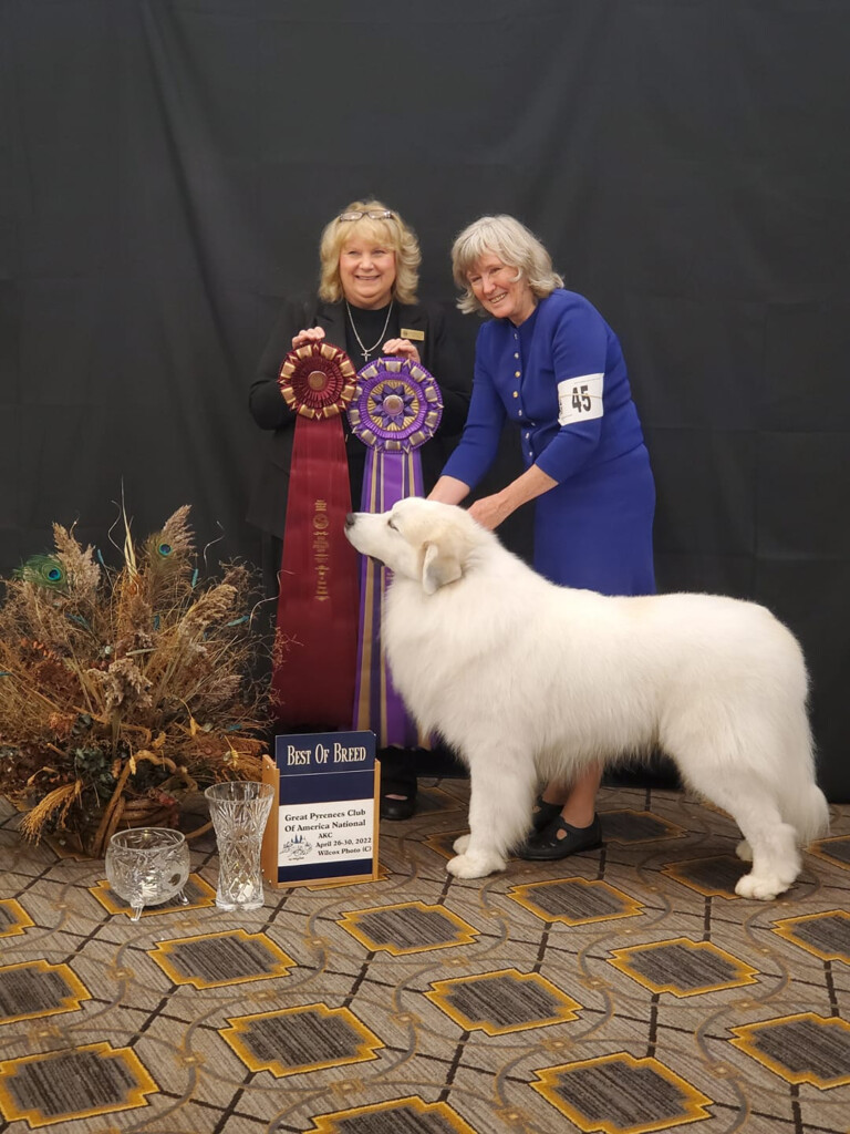 The Great Pyrenees Pedigree Database