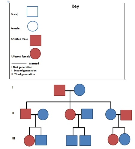 Three Generation Pedigree Chart