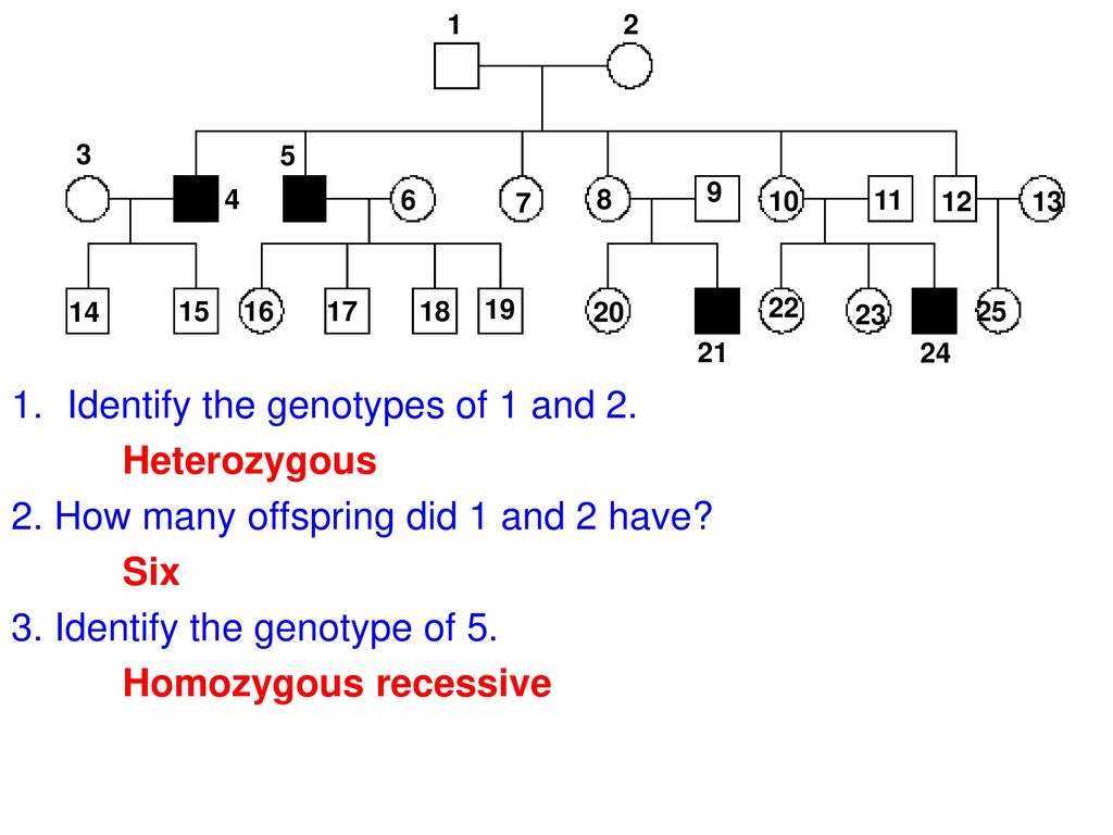 Topic Genetics Aim How Do We Use Pedigree Charts To Follow A Trait 