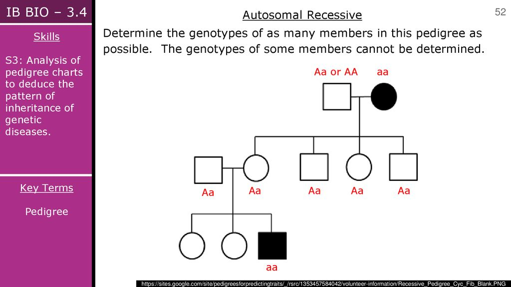 TOPIC INHERITANCE Ppt Download