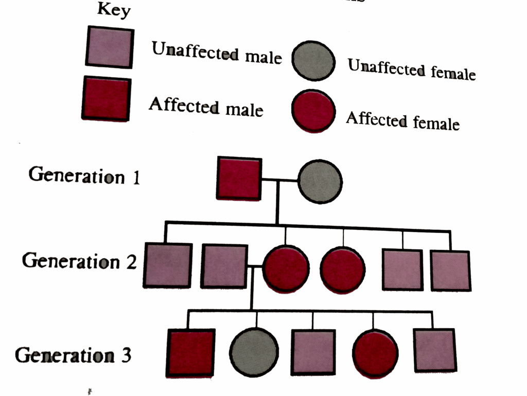 Trait Chart