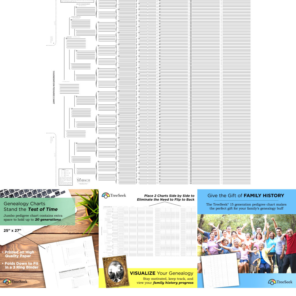 TreeSeek 15 Generation Pedigree Chart Blank Genealogy Forms For 