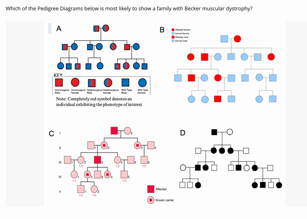 Turner Syndrome Pedigree Chart